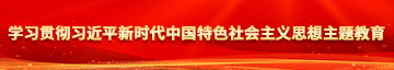 吊起来操逼逼视频学习贯彻习近平新时代中国特色社会主义思想主题教育